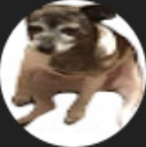 Meet your Posher, Anthonyd